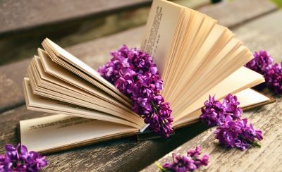 4 idées de lecture pour les pros de crèches et les plus petits